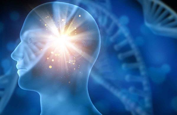 Dopamin Tuzağı  ve Kumarın Beyindeki Ödül Sistemi